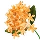 preview thumbnail 3 of 2, Set of 2 Orange Artificial Star Hydrangea Flower Stem Bush Bouquet 18in - 18" L x 12" W x 12" DP