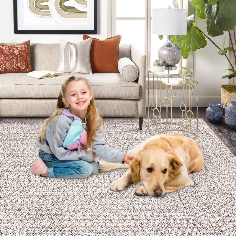 Modern Braided Print Rug Washable Area Rugs for Living Room Bedroom