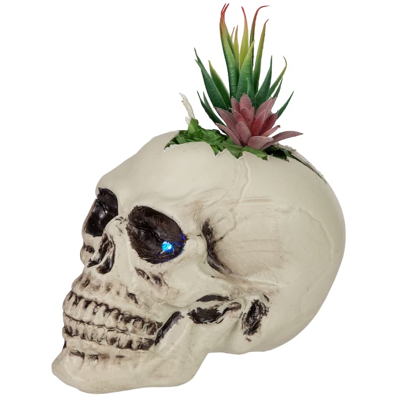 LED Lighted Succulent Halloween Skull Planter - 8.75"