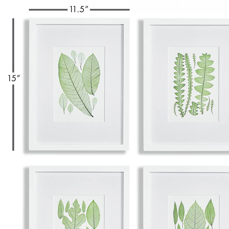 assorted leaf prints, set of 4