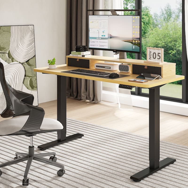 FlexiSpot 48"x24"/55"x24" Ergonomic Height Adjustable Standing Desk with 2 Drawers, Monitor Stand Computer Desk