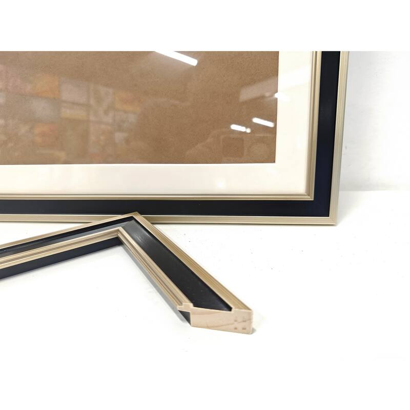 Solid Wood Picture Frame - Replaceable Canvas Art Frame with Organic Glass, Elegant Framed Wall Decor for Living Room