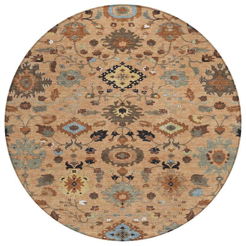 Machine Washable Indoor/ Outdoor Traditional Marci Chantille Rug