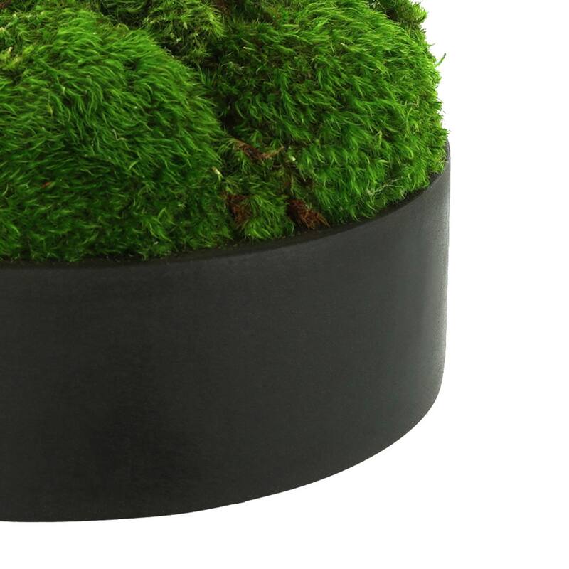 Rounded Moss in Fiberstone Planter - Green