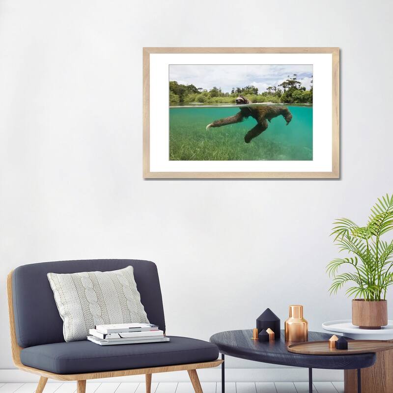 iCanvas "Pygmy Three-Toed Sloth Swimming In Mangrove Forest, Isla Escudo De Veraguas, Panama" by Suzi Eszterhas