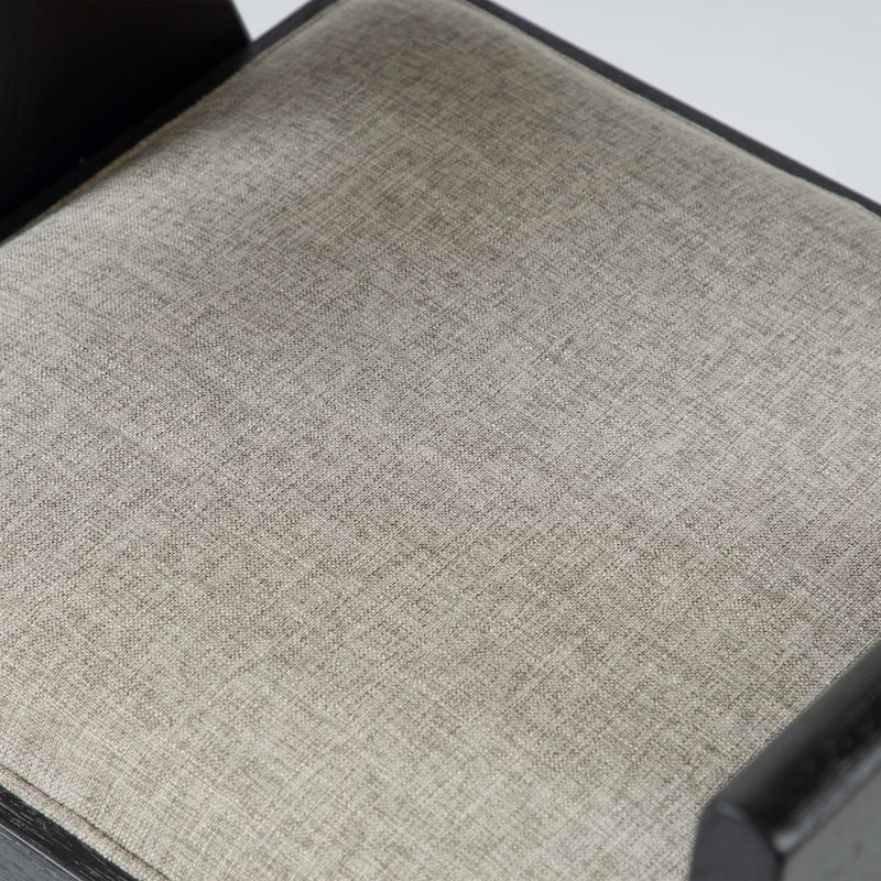 Furniture of America Evrena Modern Black Solid Wood Arm Chair (Set of 2)