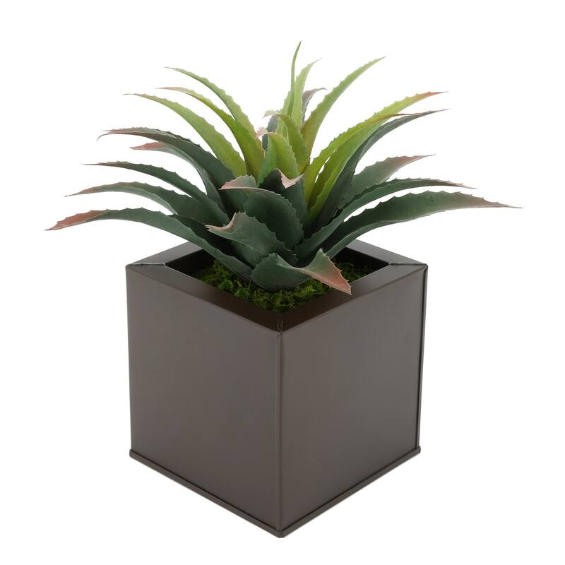 Faux Star Succulent in Square Zinc Planter - Matte Brown