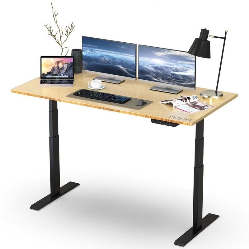 Rise Up Electric Standing Desk Dual Motor 48x30 solid bamboo desktop