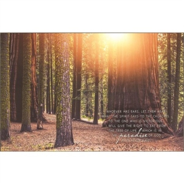 20" Brown and Orange Bible Verse Printed Rectangular Wall Plaque - N/A