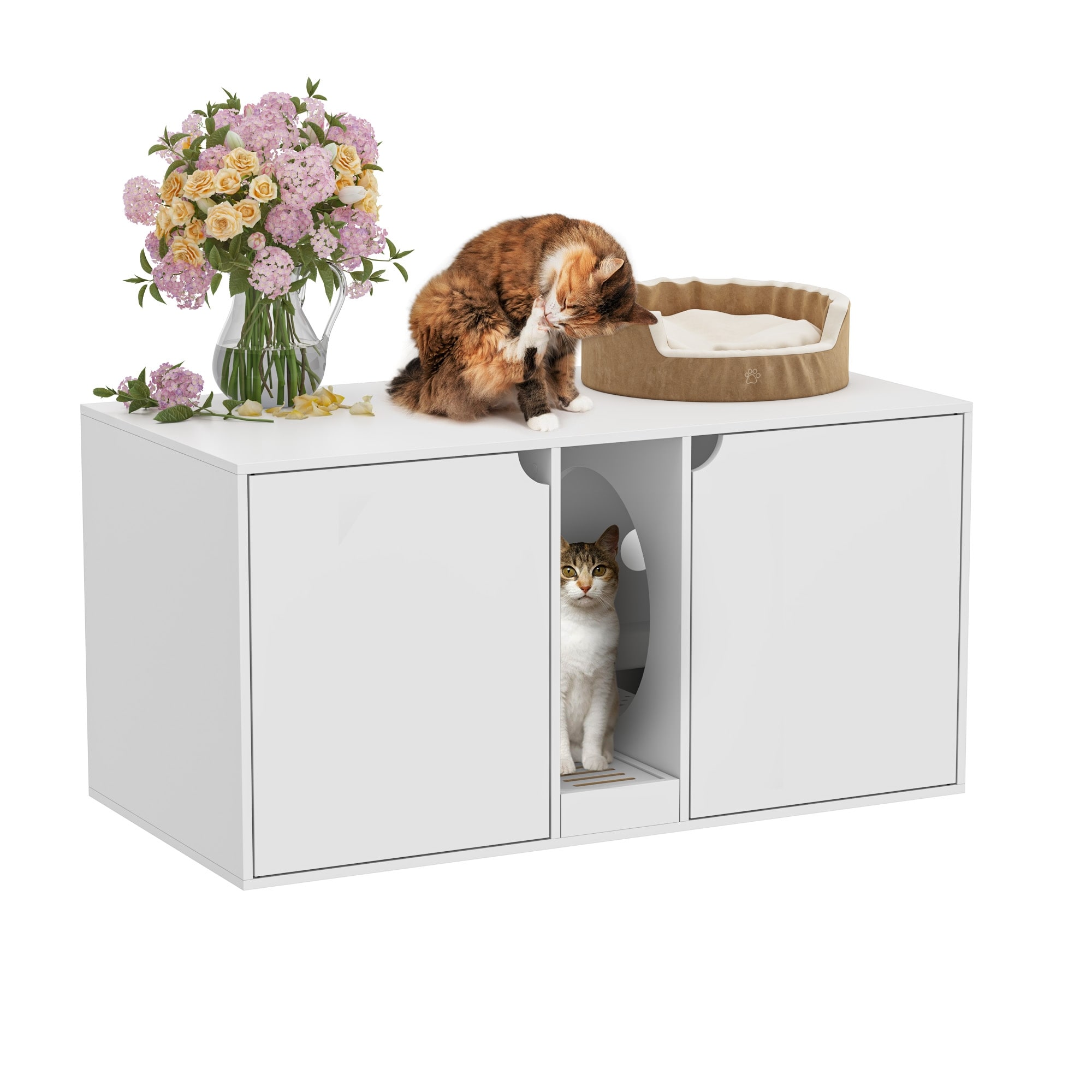 Homer litter shop box enclosure