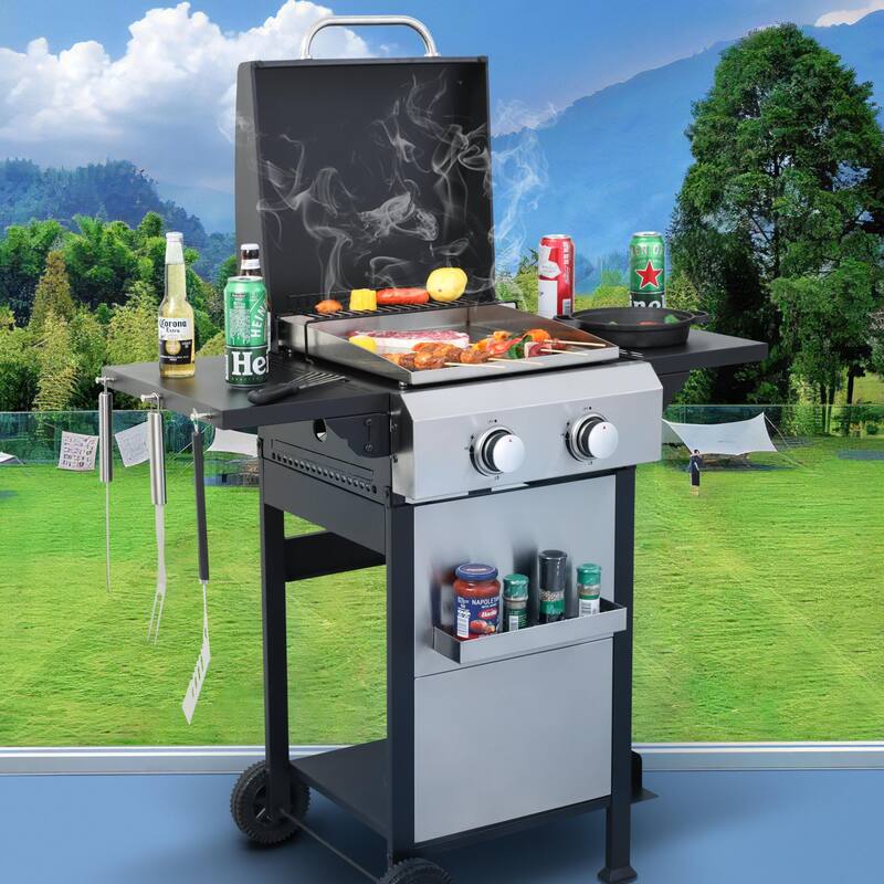 Propane Gas Grills - Silver/Black