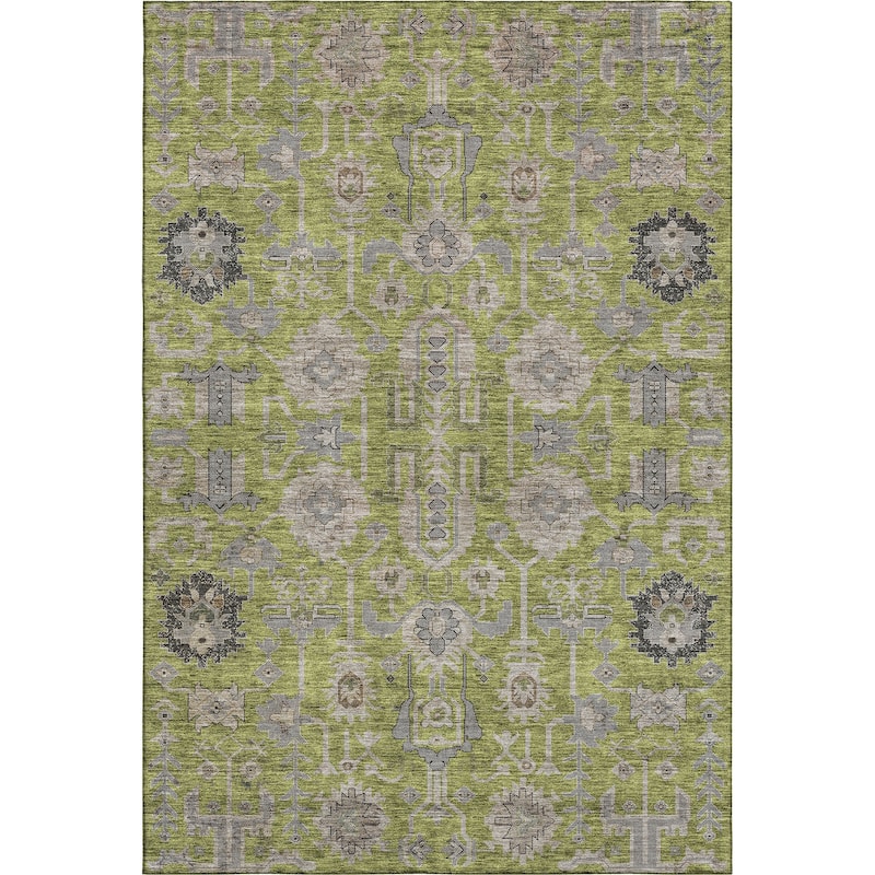 Premium Washable Super Soft Traditional Global Mayfield Rug
