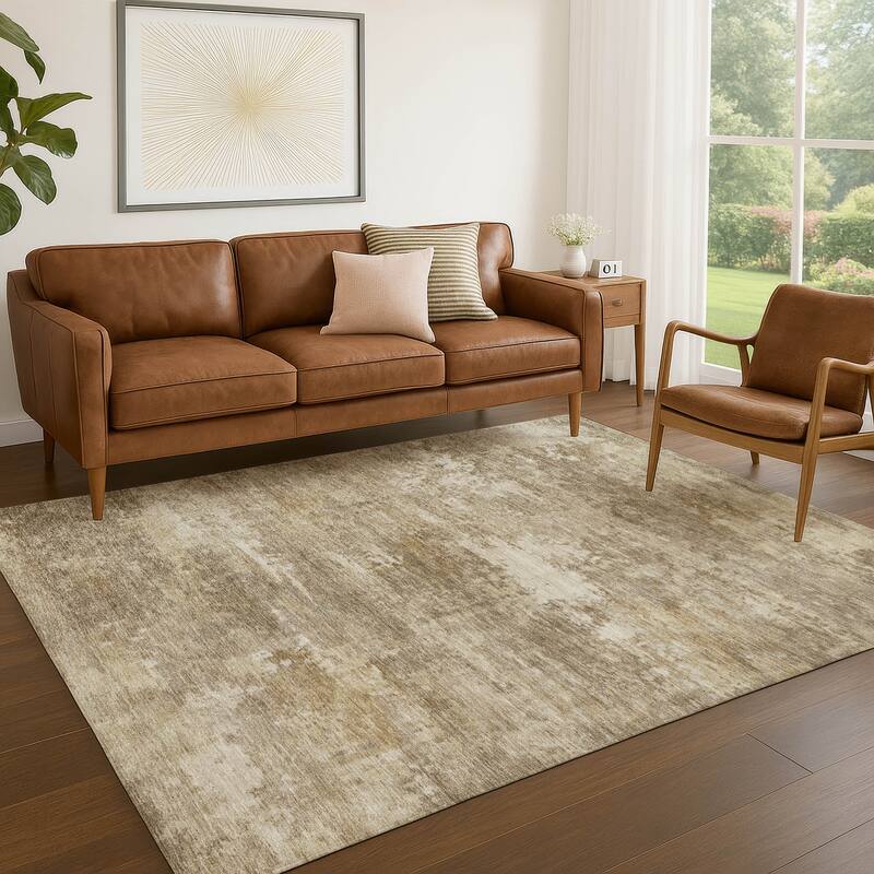 Machine Washable Indoor/ Outdoor Casual Ombre Chantille Rug