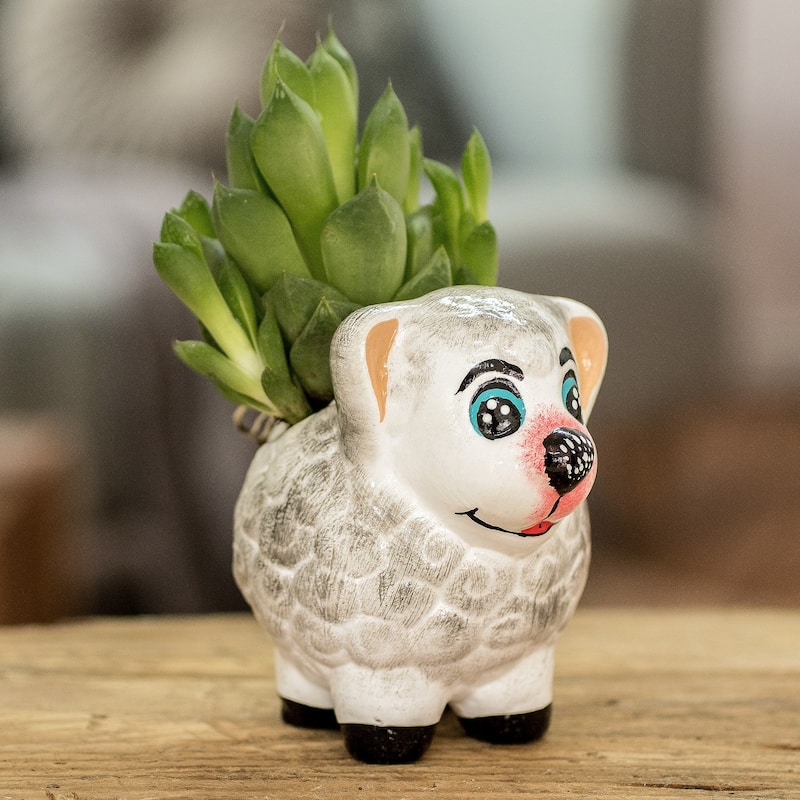 Novica Handmade Herbaceous Sheep Ceramic Mini Flower Pot