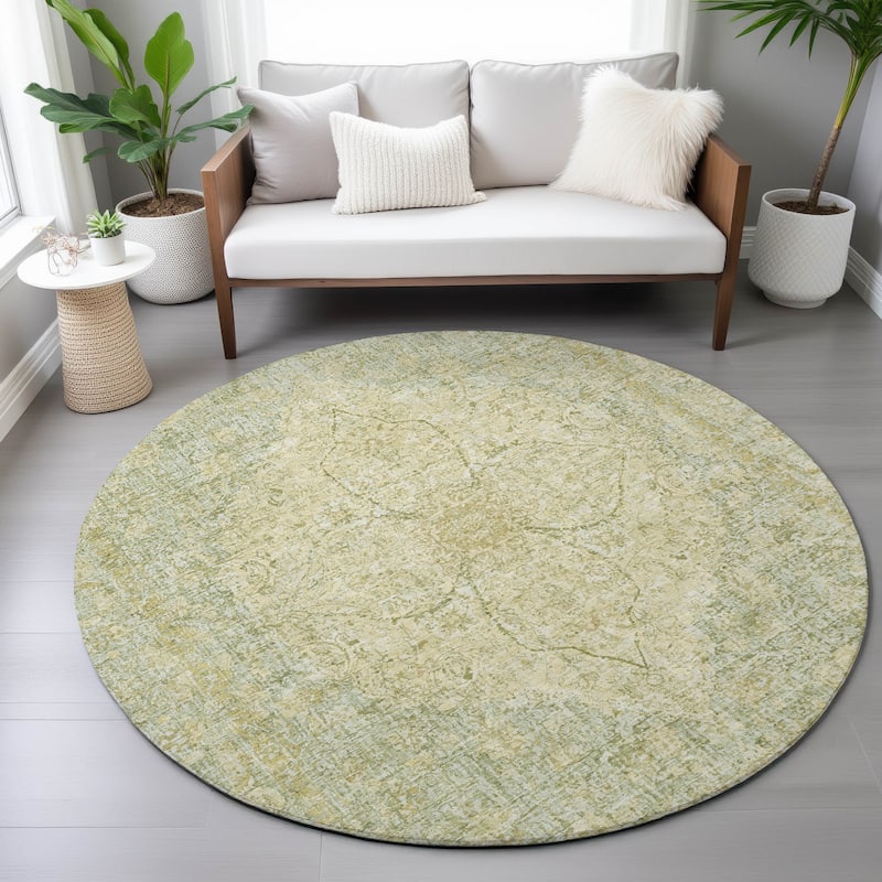 Machine Washable Indoor/Outdoor Traditional Global Chantille Rug