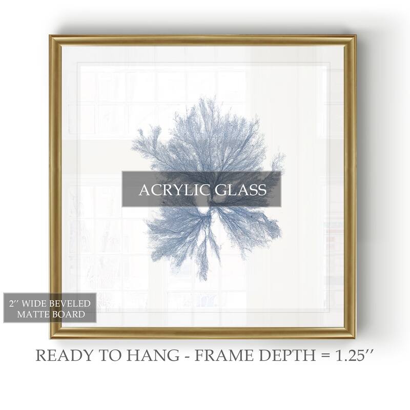 Navy Seaweed III -Black Framed Print