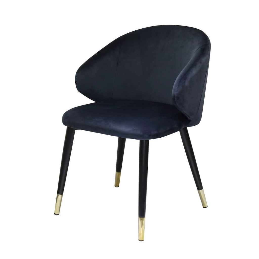 Dedi 22 Inch Side Dining Chairs, Cushioned Wingback, Set of 2, Blue, Black, Gold