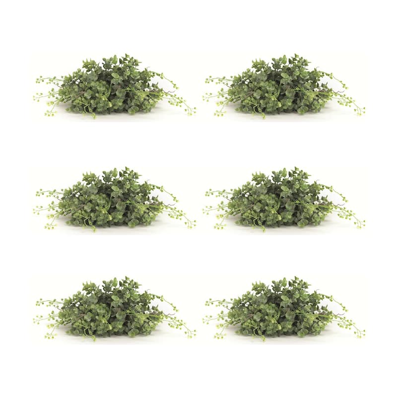 Boxwood Half Orb (Set of 6) - Green