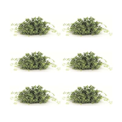 Boxwood Half Orb (Set of 6)