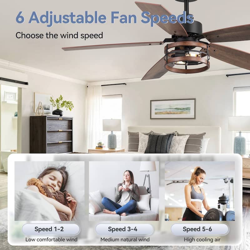 52" Farmhouse 5-Blade Black Caged Ceiling Fan with Light and Remote