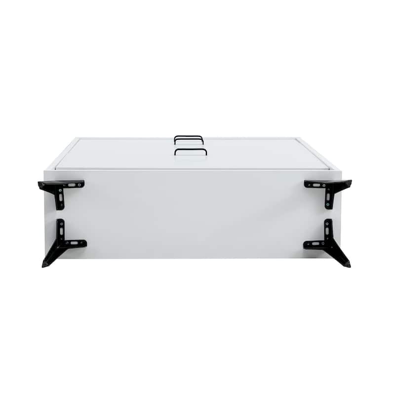 Shoe Cabinet with Metal Legs