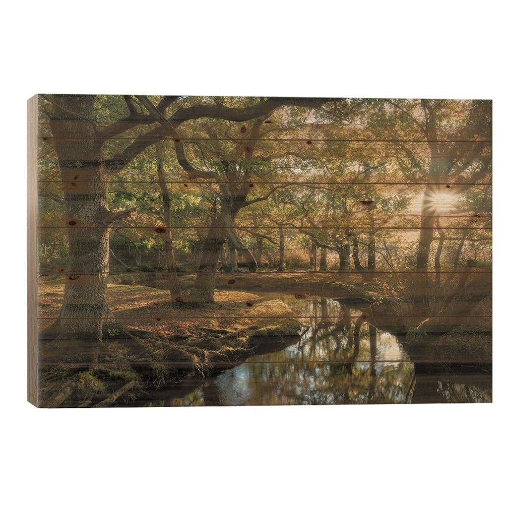 Approaching Lorien Print On Wood by Adam Burton - Multi-Color