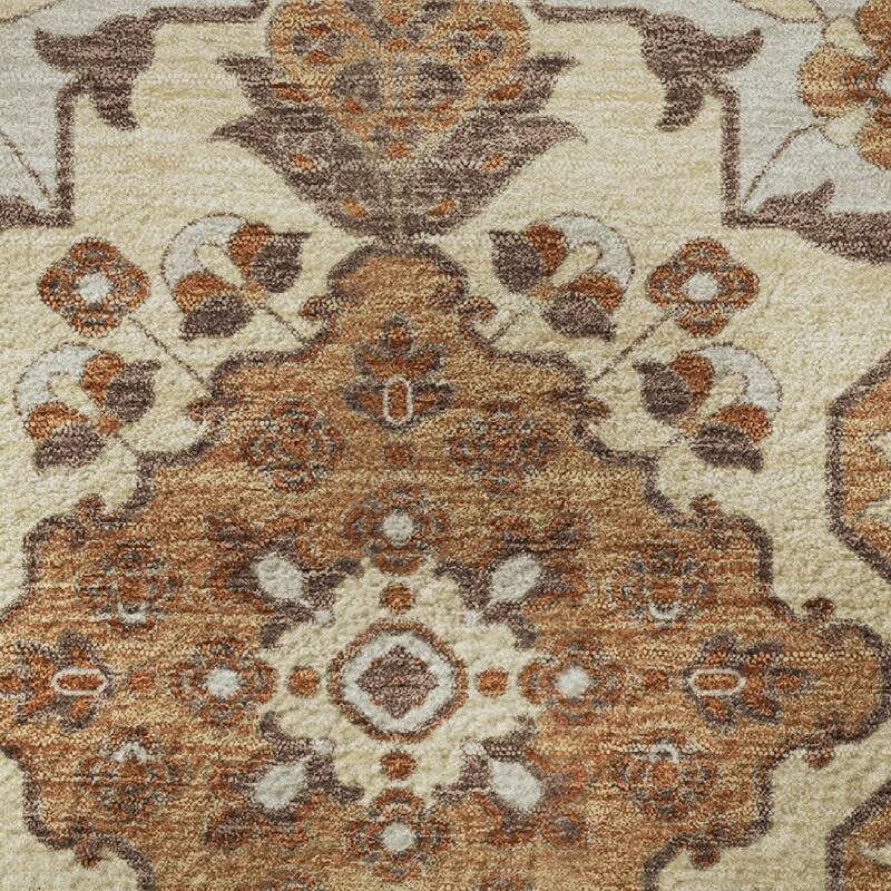 Premium Washable Super Soft Classic Traditional Mayfield Rug