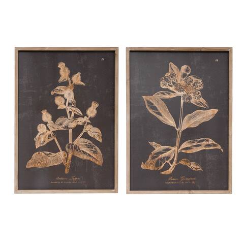 Wood Wall Décor with Botanical Print, Set 2 Styles