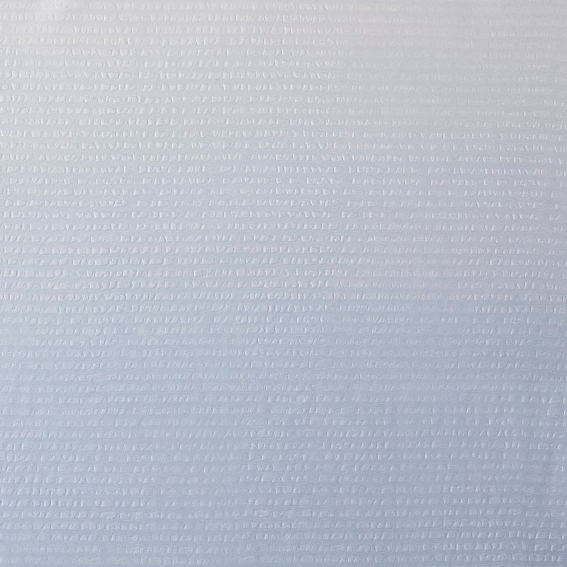 Madison Park Loire Ombre Printed Seersucker Shower Curtain