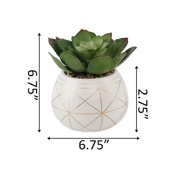 Set of 2 Artificial Succulent Plants Fake Plants in White Ceramic Pots with Bamboo Tray 6.5” Tall