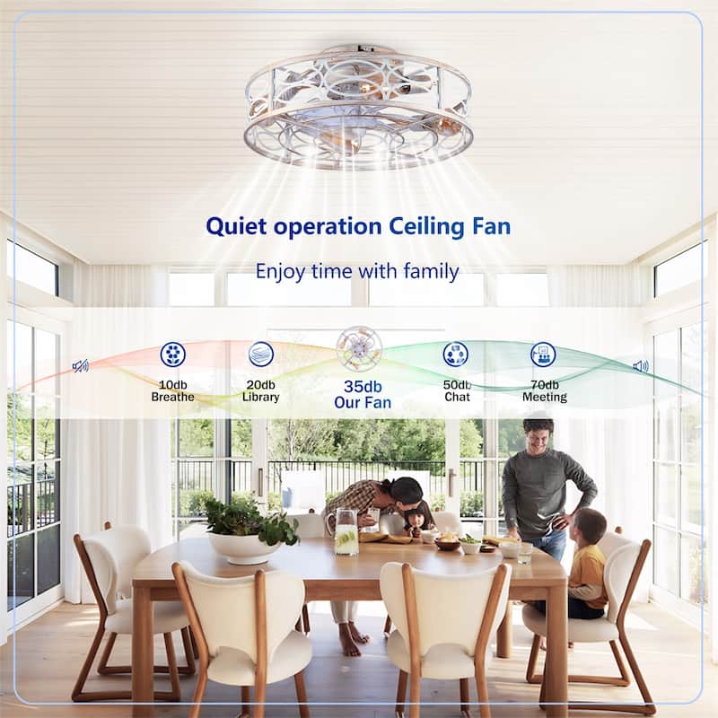 20" Caged Ceiling Fans with Lights and Remote Control, NOT Included Bulbs