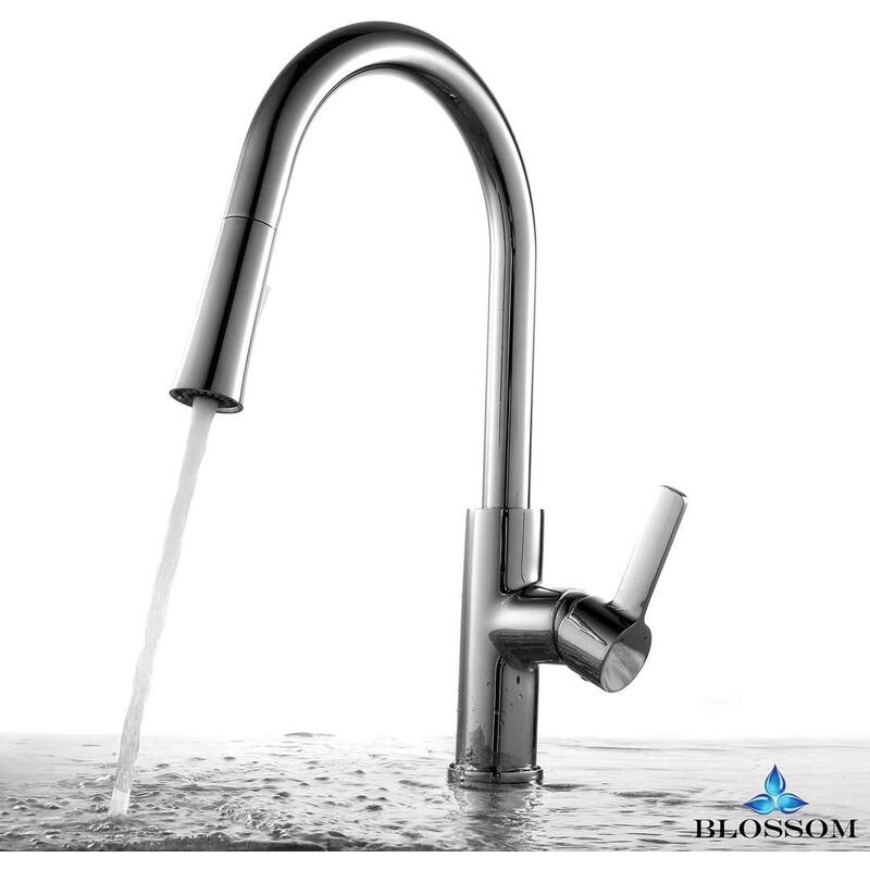 Blossom Kitchen Faucet with Pull Down Sprayer