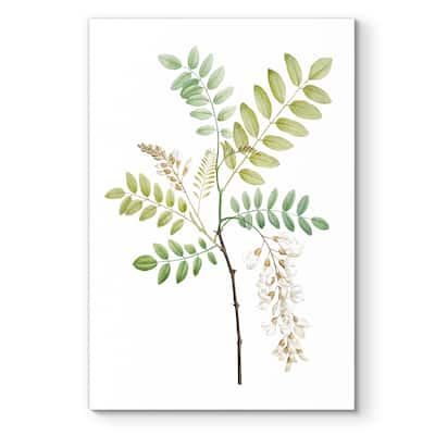 Soft Green Botanical I -Premium Gallery Wrapped Canvas