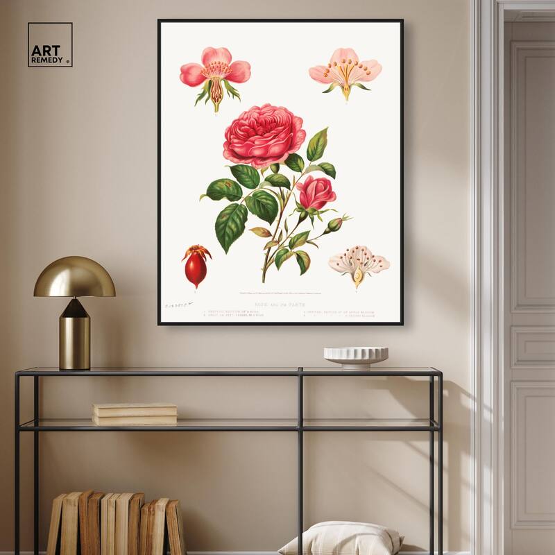 Rose and its parts (1872) Canvas by Art Remedy