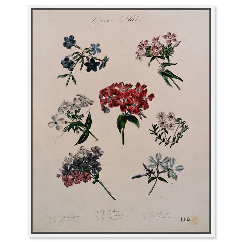 Seven Flowering Plants Canvas by Art Remedy - White - 16" x 20"