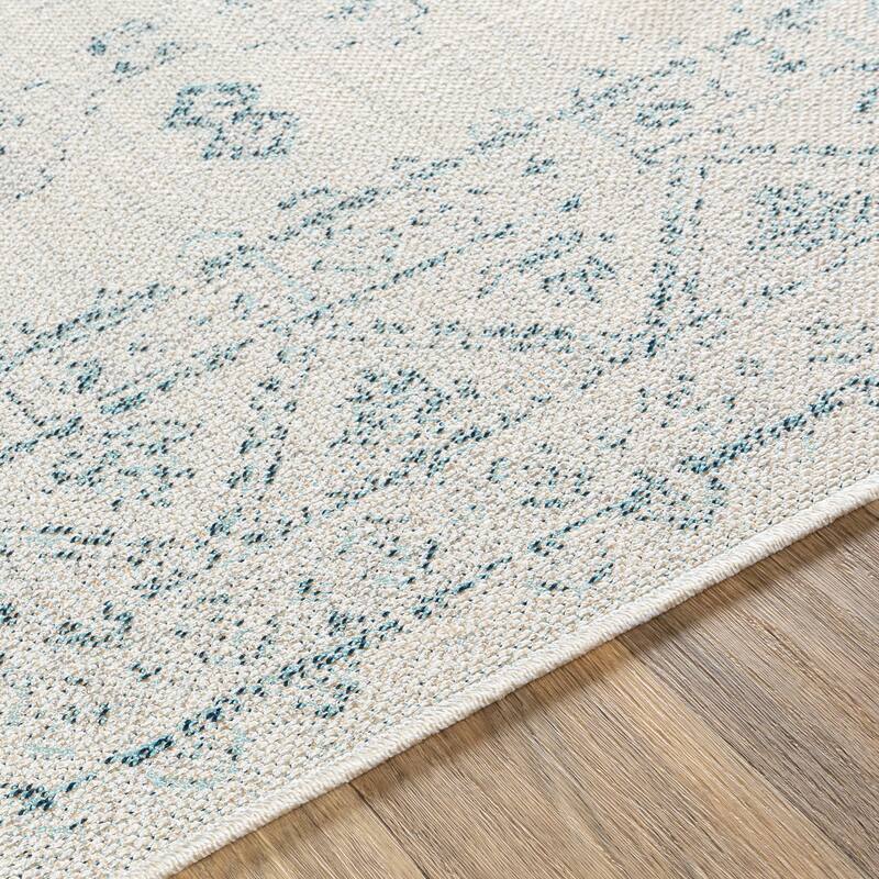 Susannah Indoor / Outdoor Updated Traditional Area Rug