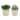 SET OF 2 Artificial Plant Succulent in 3" Dress Icecream Pot - ONE-SIZE
