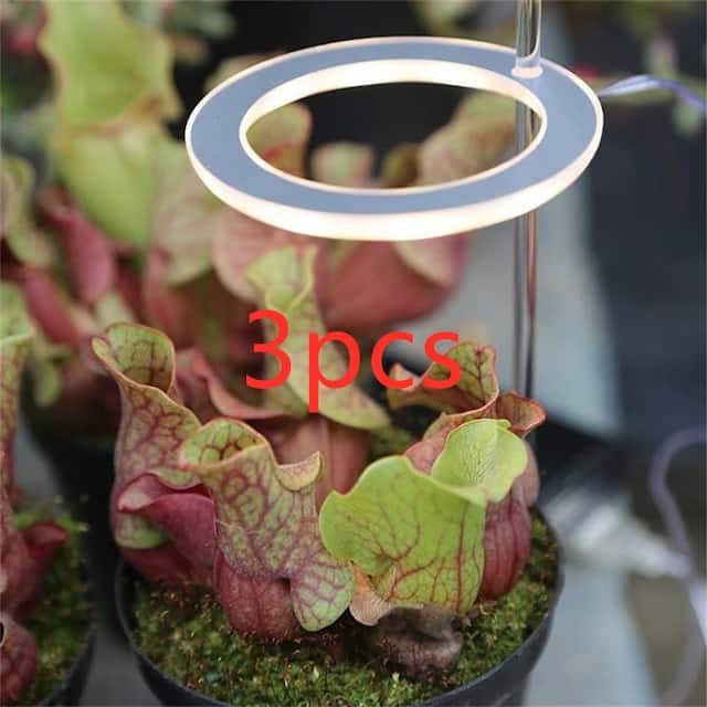 LED Grow Light Full Spectrum Phyto Grow Lamp USB Phyto Lamp for Plants Growth Lighting for Indoor Plant - Transparent-3pcs