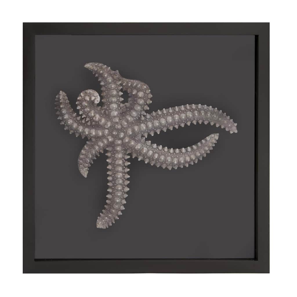 Star Fish Framed Art