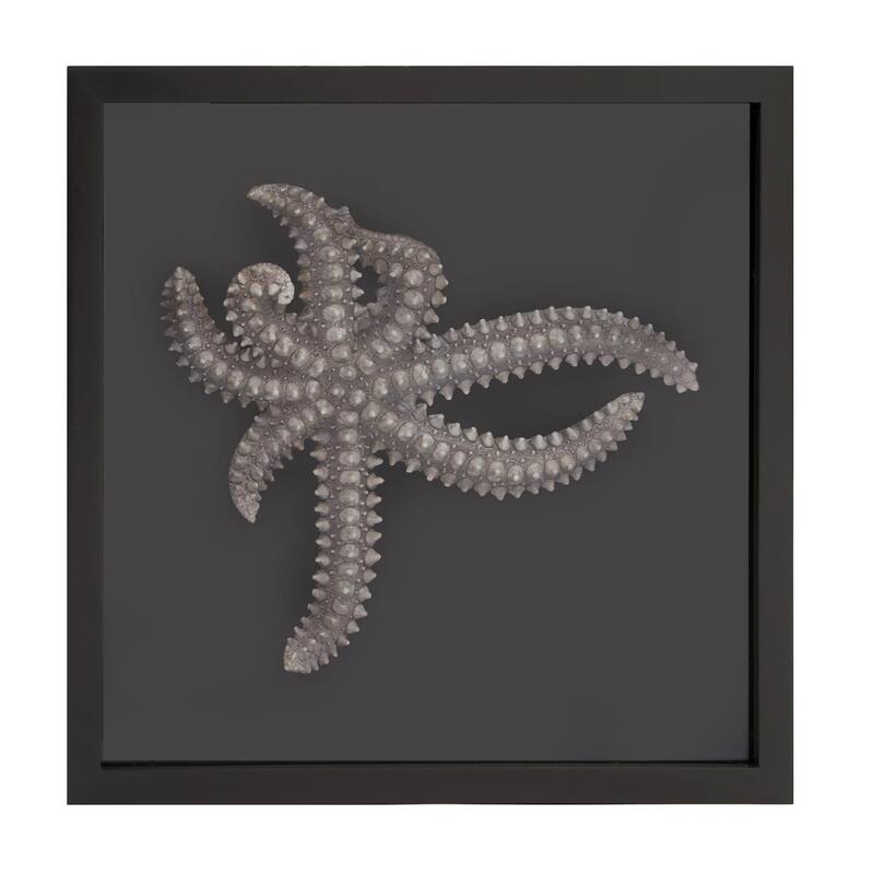 Star Fish Framed Art