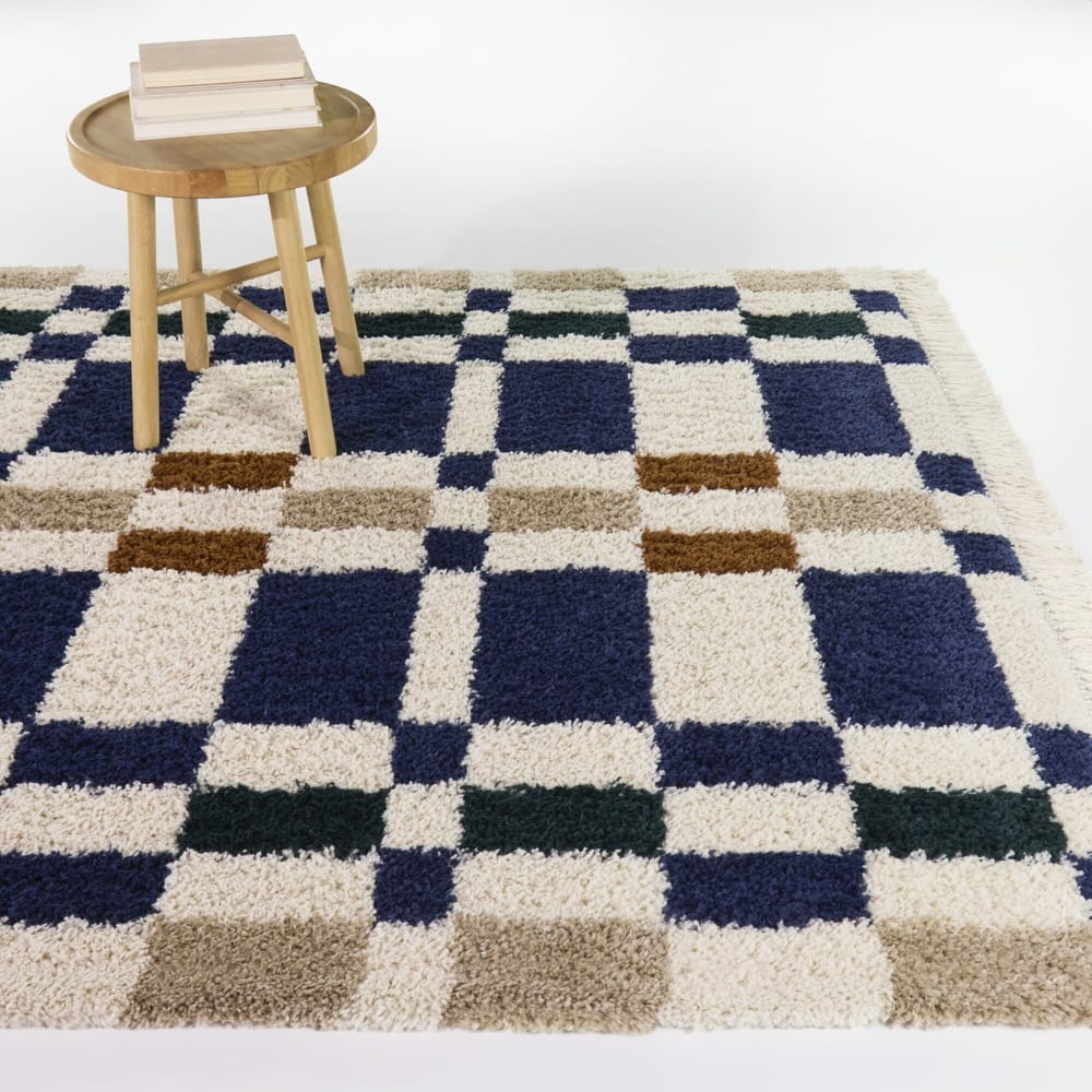 Barnabe Checkered Colorblock Area Rug