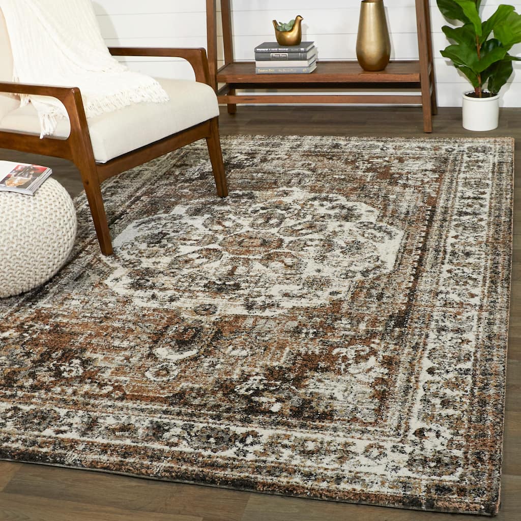 Hess Vintage Medallion Area Rug