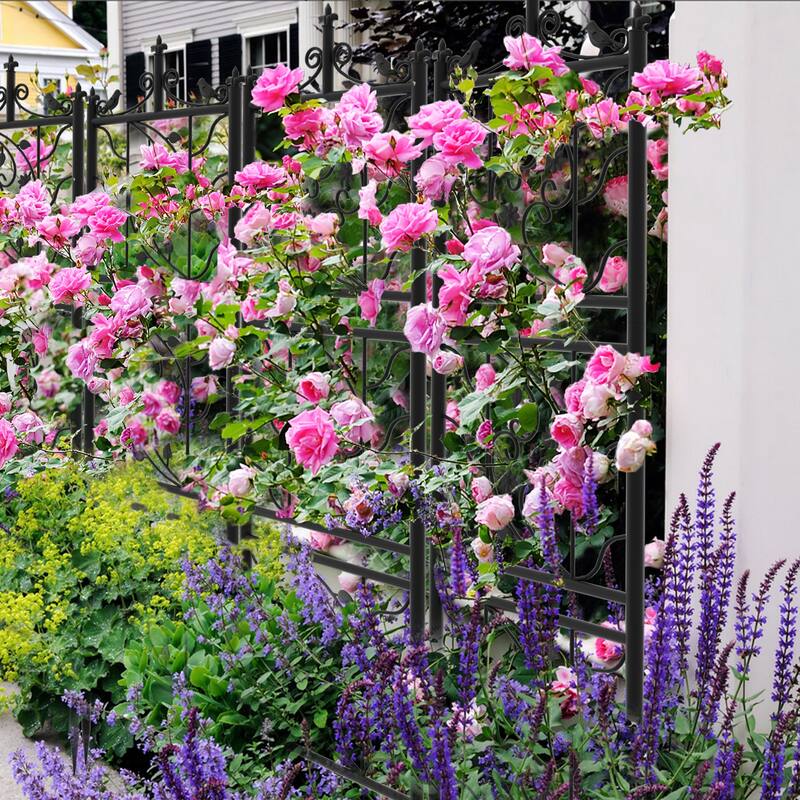 2 Pack Metal Garden Trellis for Outdoor Patio Climbing Plants - 19.7x76.8 inch