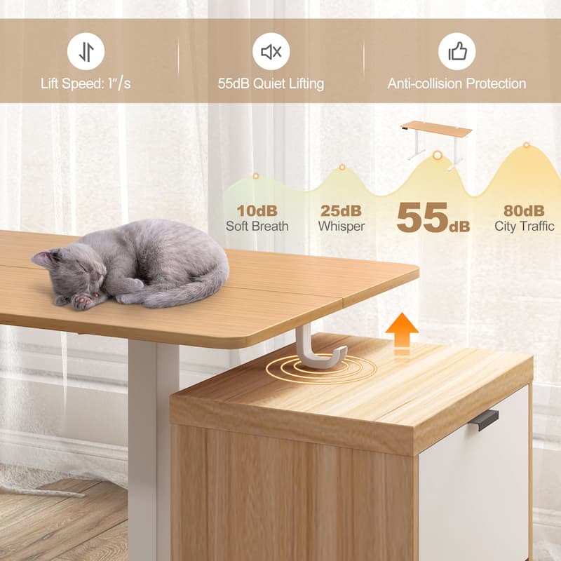 Electric Standing Desk with Memory Heights and Cable Management
