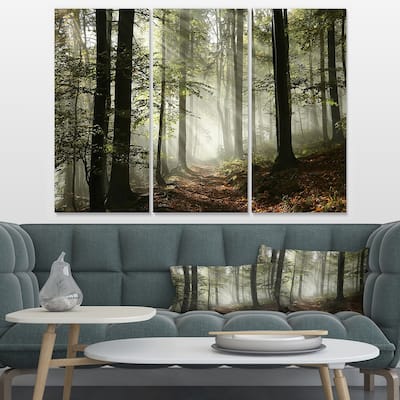 Designart "Light in Dense Fall Forest with Fog" Landscape Canvas Art Print
