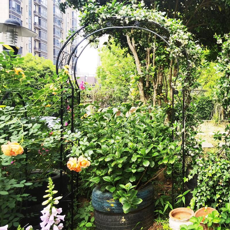 Metal arch trellis suitable for weddings and garden plant climbing