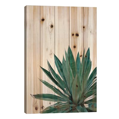Agave Cactus Print On Wood by Orara Studio - Multi-Color