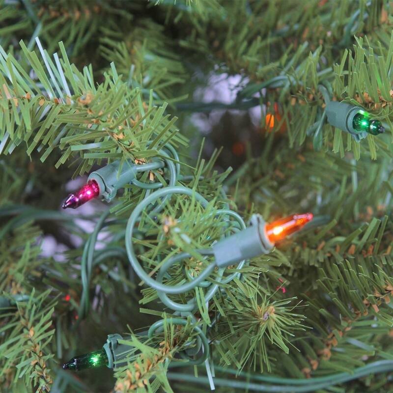 4' Pre-Lit Northern Pine Full Artificial Christmas Tree - Multicolor Lights