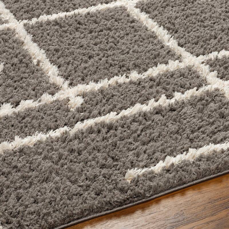 Maryland Shag Moroccan Tribal Area Rug