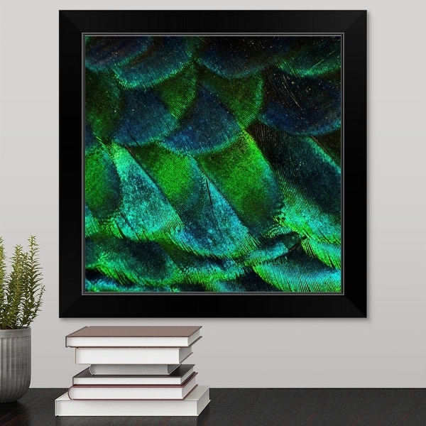 "Close up of iridescent peacock feathers at zoo." Black Framed Print